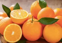 रोज़ाना सिर्फ़ एक संतरा खाने से होंगे ये 5 बड़े फायदे, इम्युनिटी होगी सुपर स्ट्रॉन्ग
