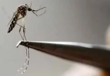 देहरादून में कोविड और डेंगू के बढ़ते मामले, स्वास्थ्य विभाग सतर्क