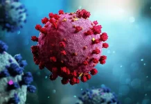 कोरोना के बढ़ते मामलों ने बढ़ाई चिंता 48 घंटे में 769 नए केस, एक्टिव मरीजों की संख्या 6 हजार पार