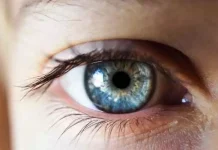 आंखों की सेहत पर बढ़ता खतरा, डाइट में ये 5 फूड्स बनाएंगे नजर को बाज़ की तरह तेज