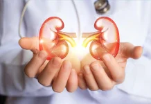 किडनी की सेहत के लिए खतरा बन सकते हैं ये 3 नाश्ते, जानिए क्या है बेहतर विकल्प