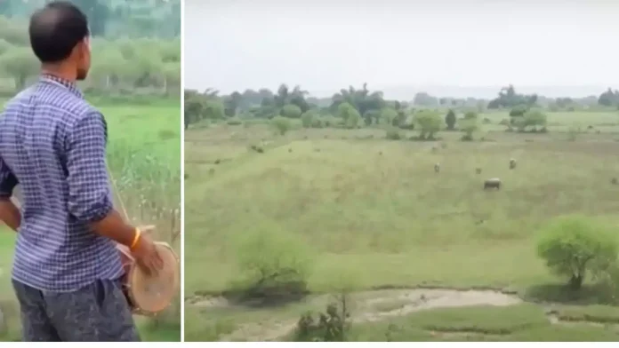 इस मामले की शिकायत पुलिस और कलेक्टर कार्यालय तक पहुंची है, और इस “तालाब चोरी” की उच्चस्तरीय जांच के आदेश भी जारी किए गए हैं।