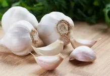 सर्दियां शुरू होने से पहले शहद में भीगे लहसुन का करें सेवन, सेहत को मिलेंगे 5 बड़े फायदे