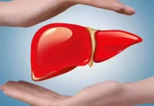 लिवर को रखें हेल्दी: तुलसी, पुदीना, नीम और धनिया की पत्तियां करेंगी प्राकृतिक डिटॉक्स