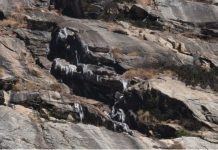 गंगोत्री नेशनल पार्क में कड़ाके की ठंड से नदी-नाले जमे, वन्यजीवों की निगरानी बढ़ाई