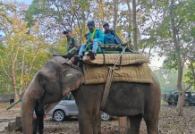 राजाजी टाइगर रिजर्व में जल्द शुरू होगी हाथी सफारी, ‘राधा’ और ‘रंगीली’ कराएंगी रोमांचक जंगल सैर