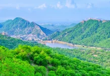 अरावली अवैध खनन और शहरीकरण के खिलाफ दिल्ली-हरियाणा-राजस्थान में उग्र विरोध