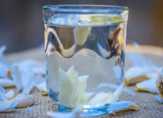 ग्रीन टी नहीं भाती तो घबराएं नहीं, ये 6 देसी ड्रिंक्स भी घटाएंगे बैड कोलेस्ट्रॉल, दिल रहेगा फिट