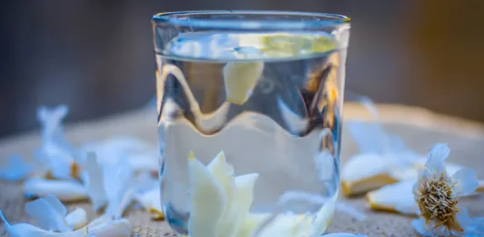 ग्रीन टी नहीं भाती तो घबराएं नहीं, ये 6 देसी ड्रिंक्स भी घटाएंगे बैड कोलेस्ट्रॉल, दिल रहेगा फिट