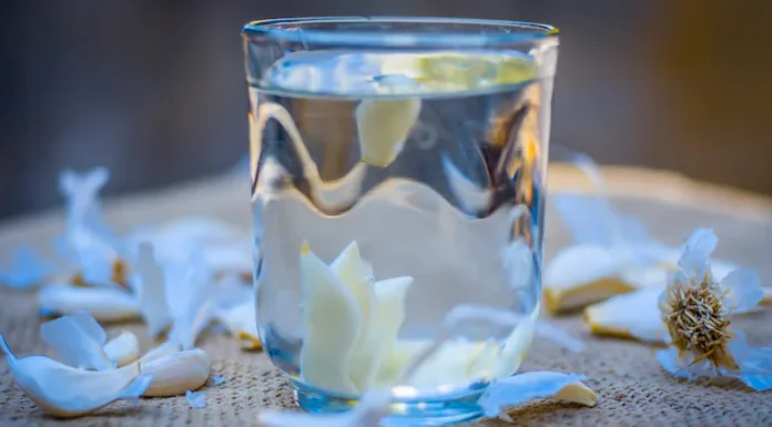 ग्रीन टी नहीं भाती तो घबराएं नहीं, ये 6 देसी ड्रिंक्स भी घटाएंगे बैड कोलेस्ट्रॉल, दिल रहेगा फिट