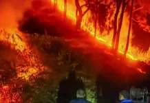 उत्तराखंड में जंगल की आग पर हाईकोर्ट सख्त, विशेषज्ञों से मांगी रिपोर्ट — 10 दिसंबर को अगली सुनवाई