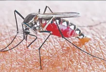 गांव नहीं अब शहर बन रहे मलेरिया के नए हॉटस्पॉट, रिपोर्ट में चौंकाने वाला खुलासा