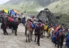 चारधाम यात्रा में घोड़ा-खच्चरों के लिए नई SOP लागू, ओवरलोडिंग और क्रूरता पर सख्ती