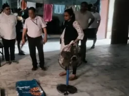 बिना लाइसेंस बन रहे थे बताशे, मिश्री और खाद्य खिलौने, गंदगी मिलने पर दो प्रतिष्ठानों के चालान